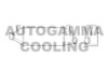 AUTOGAMMA 103430 Intercooler, charger